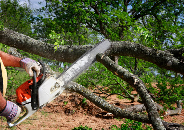 Soil Testing and Treatment in Vacaville, CA